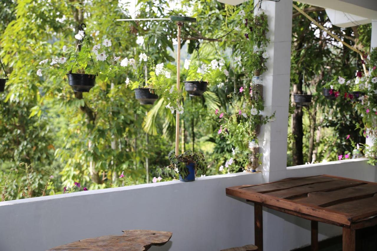 Apartamento Dream Nest Ella Exterior foto